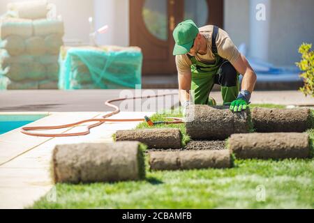 Thème de l'industrie du jardinage. Paysagiste caucasien professionnel dans ses années 40 installer de nouvelles tourfs d'herbe dans un jardin. Banque D'Images