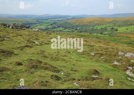 Vue d'été de Yar tor vers Corndon Down, parc national de Dartmoor, Devon, Angleterre Banque D'Images