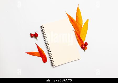 Bloc-notes avec feuilles d'automne jaune et rouge arrière-plan des promotions saisonnières et remises Banque D'Images