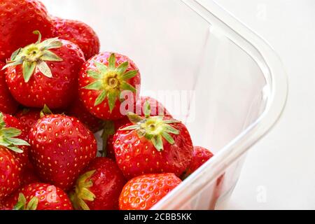 Fraises fraîches mûres dans un récipient en plastique transparent sur fond blanc. Image avec espace de copie. Banque D'Images