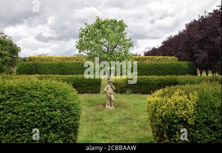 statue de chérubin dans le jardin avec haies Banque D'Images