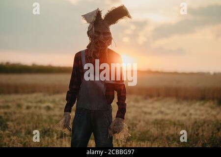 L'homme à l'image du sorcier en chapeau avec des oreilles de lapin se tient parmi le champ de blé contre le ciel du coucher du soleil. Banque D'Images