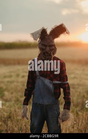 L'homme à l'image du sorcier en chapeau avec des oreilles de lapin se tient parmi le champ de blé contre le ciel du coucher du soleil. Banque D'Images