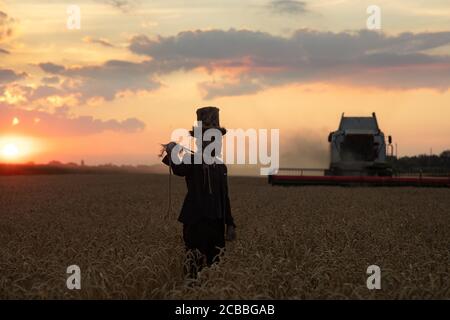 Homme à l'image du sorcier en chapeau exécute le rituel magique noir et porte l'homme pendu parmi le champ de blé contre le ciel du coucher du soleil et la moissonneuse. Banque D'Images