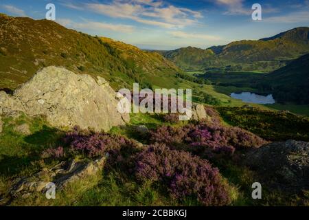 Blea Tarn à Langdale, Lake District, Angleterre Banque D'Images