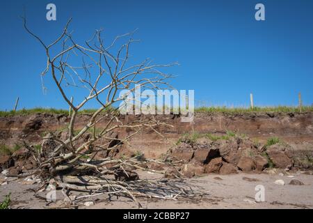 Signes d'érosion et effets du temps sauvage sur la plage de Carsethorn, Dumfries et Galloway, en Écosse. Banque D'Images