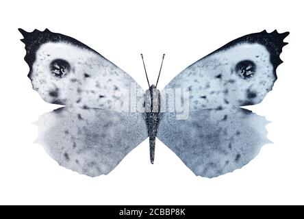 Grand papillon blanc avec ailes ouvertes, isolé sur fond blanc. illustration 3d Banque D'Images