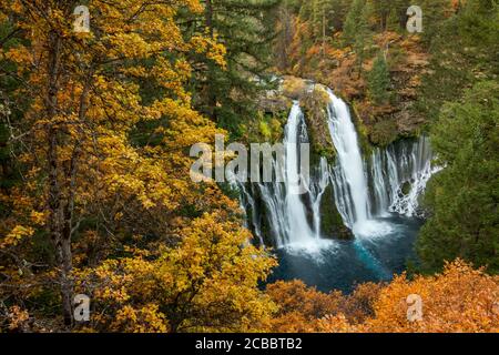 Falls Color - UNE multitude de couleurs entoure les chutes de Burney pendant la saison d'automne. McArthur-Burney Falls State Park, Californie, États-Unis Banque D'Images