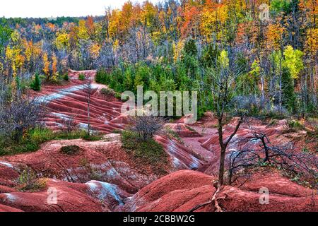 Le sol rouge des Badlands de Cheltenham, situé à Caledon, Ontario, Canada. Banque D'Images