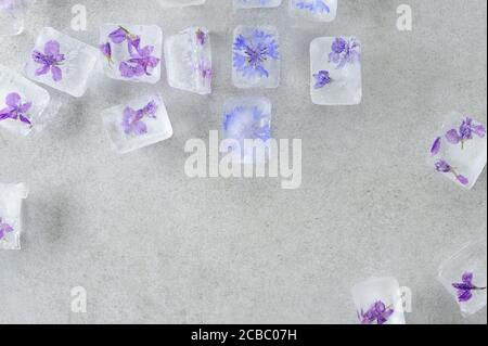 Fleurs comestibles d'été congelées dans des glaçons sur fond gris. Fond de glace floral. Plat, horizontal. Banque D'Images