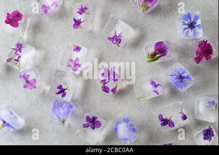 Cubes de glace floraux sur fond gris. Banque D'Images