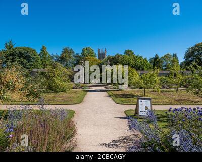 The Merton Borders, Landscape of University of Oxford Botanical Gardens, with Magdalene Tower, Oxford, Oxfordshire, Angleterre, Royaume-Uni, GB. Banque D'Images