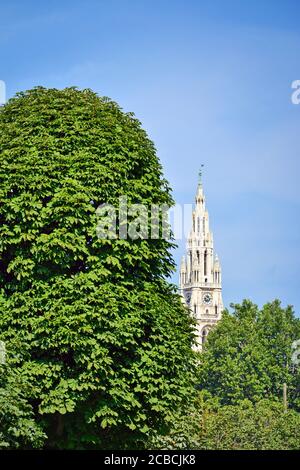 Le clocher de la cathédrale Saint-Étienne entre les arbres pendant une belle journée d'été Banque D'Images