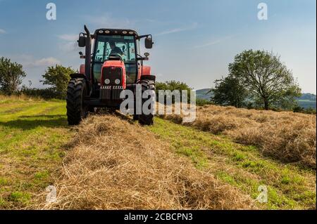 Drinagh, West Cork, Irlande. 12 août 2020. Evan Wilson balle du foin sur la ferme de Drinagh de George Wilson à l'aide d'une presse Massey Ferguson 6475 et McHale F550. Crédit : AG News/Alay Live News Banque D'Images