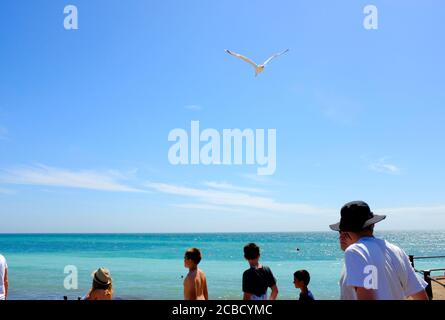 Mouette en vol contre le ciel bleu vif d'été et moustay Nuages blancs à Freshwater Bay Isle of Wight Banque D'Images