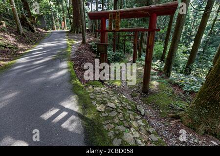 Torii et Henro Trail à Yokomineji - temple numéro 60 sur le pèlerinage de Shikoku. Il est considéré comme le temple le plus difficile à atteindre lors du pèlerinage Banque D'Images