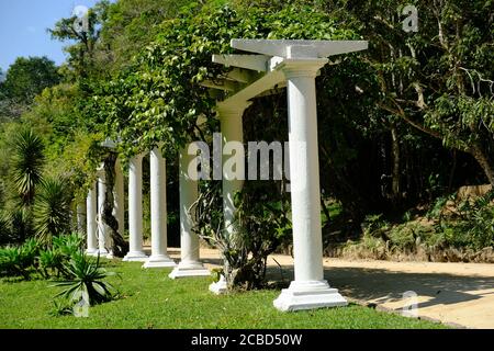 Brésil Rio de Janeiro - jardin botanique avec colonne de fleurs Banque D'Images