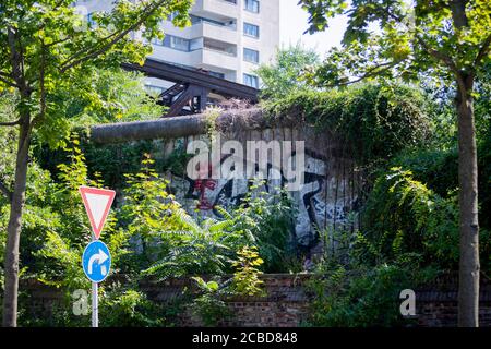 Berlin, Allemagne. 11 août 2020. Une section surcultivée du mur de Berlin sur Liesenstraße. Il y a 59 ans, le 13 août 1961, la construction du mur commença, qui divisa Berlin pendant plus de 28 ans. Credit: Christoph Soeder/dpa/Alay Live News Banque D'Images