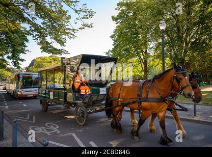 07 août 2020, Belgique, Brüssel: Ludiviny Simon, chef d'équipe, prend la voiture tirée par des chevaux du service de nettoyage dans le quartier Schaerbeek de Bruxelles. Depuis 2011, le service de collecte des déchets arrive six jours par semaine, non seulement avec des camions conventionnels, mais aussi en calèche. Environ 200 poubelles publiques par jour sont vidées de cette façon. (À dpa 'camion de déchets avec sabots - amis à quatre pattes en action dans les rues de Bruxelles') photo: Sven Braun/dpa Banque D'Images
