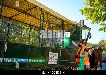 07 août 2020, Belgique, Brüssel: Kani de Muynck, étudiant, charge des sacs à ordures dans le wagon tiré par des chevaux du service de nettoyage dans le quartier Schaerbeek de Bruxelles. Depuis 2011, le service de collecte des déchets arrive six jours par semaine, non seulement avec les camions conventionnels, mais aussi à cheval et à chariot. Environ 200 poubelles publiques par jour sont ensuite vidées de cette façon. (À dpa 'camion de déchets avec sabots - amis à quatre pattes en action dans les rues de Bruxelles') photo: Sven Braun/dpa Banque D'Images