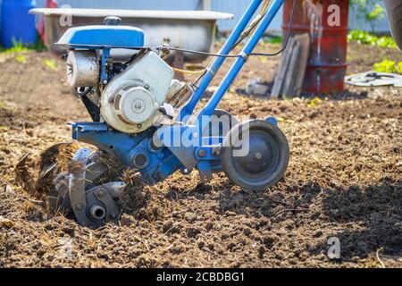 Motoculteurs cultivateur pour le travail du sol. Jardinage. Mise au point sélective Banque D'Images