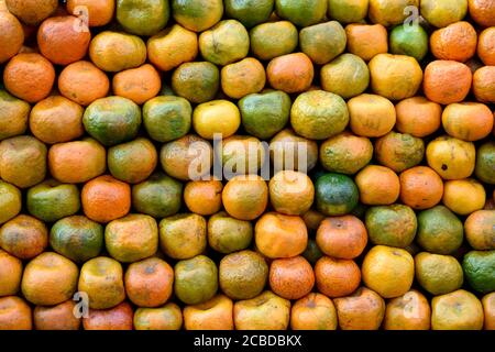 Oranges mandarines colombiennes, oranges mandarines fraîches et mûres récoltées sur un marché agricole en Colombie, en Amérique du Sud Banque D'Images