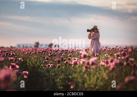 Belle femme blonde-cheveux en chapeau prend des photos dans le lilas Champs de fleurs de pavot Banque D'Images