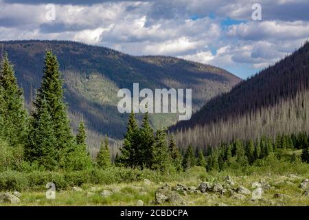 La chaîne de montagnes de San Juan dans les montagnes Rocheuses par une journée nuageuse, vue depuis un pré dans la région sauvage de Weminuche près de Creede, Colorado, États-Unis Banque D'Images