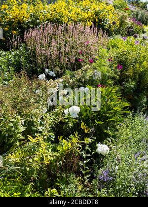 The Herbacé Border, University of Oxford Botanical Gardens, Oxford, Oxfordshire, Angleterre, Royaume-Uni, GB. Banque D'Images