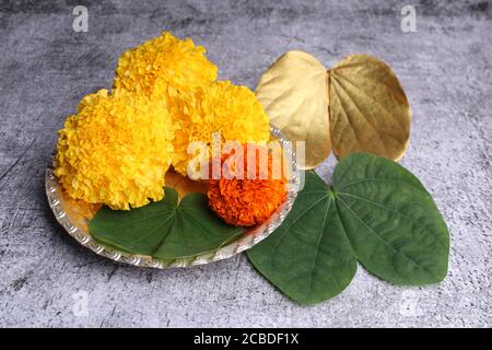 Carte de voeux Dussehra ou Vijaya dashami. Feuille verte dorée, feuille colord de Rie et kumkum Banque D'Images