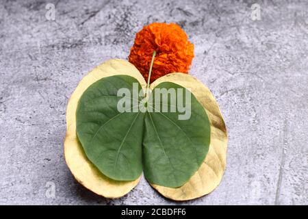 Carte de voeux Dussehra ou Vijaya dashami. Feuille verte dorée, feuille colord de Rie et kumkum Banque D'Images