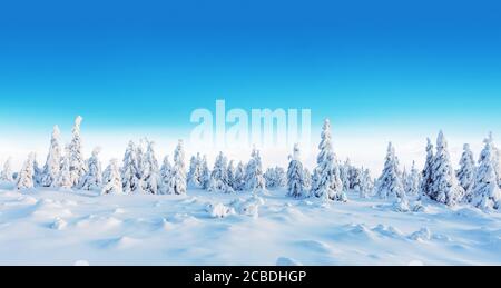 Vue panoramique sur la forêt d'épinettes enneigées en hiver. Image haute résolution Banque D'Images