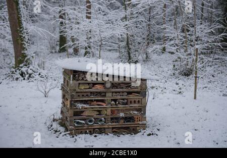 Invertébré nichant Box, Bug House ou Insect Hôtel couvert de neige épaisse profonde dans un jardin de forêt dans le Devon rural, Angleterre, Royaume-Uni Banque D'Images