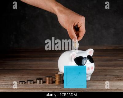 investissements financiers dans une banque de pigeons. Croissance des investissements financiers. Banque D'Images