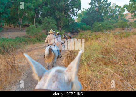 Équitation dans la vallée de Jezreel, Israël. Banque D'Images