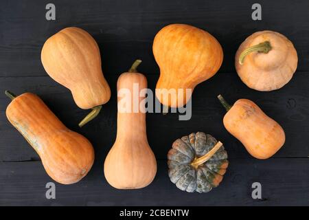 Les variétés de musternut et de moschata organiques de cendres sur fond de bois noir. Banque D'Images
