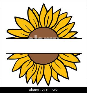 Image vectorielle des tournesols dessinés à la main Illustration de Vecteur