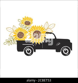 Image vectorielle des tournesols dessinés à la main Illustration de Vecteur