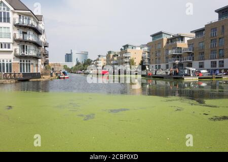 Bateaux à rames et bateaux à moteur sur le canal de Grand Union, près du siège social de GlaxoSmithKline sur la Great West Road, Brentford, Middlesex, Royaume-Uni Banque D'Images