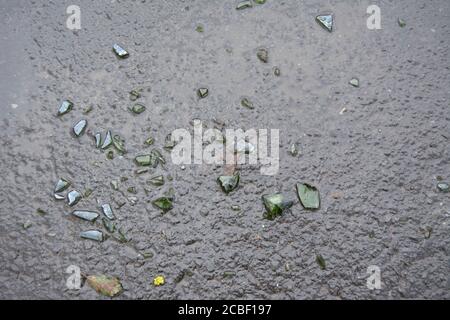 morceaux de verre clair et vert cassé sur une surface de route humide à twickenham, middlesex, angleterre Banque D'Images