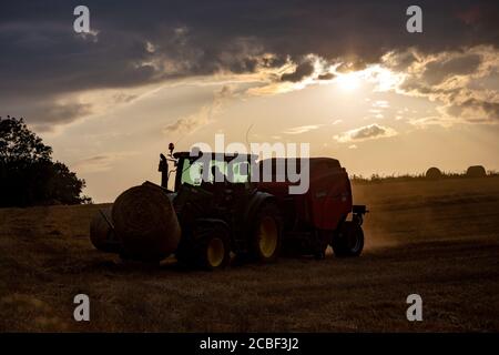 Ear of Wheat, Agricultural Activity, Agricultural Equipment, Agricultural Field, Agricultural Machinery, Agriculture, août, usine de céréales, moissonneuse-batteuse Banque D'Images