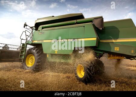 Ear of Wheat, Agricultural Activity, Agricultural Equipment, Agricultural Field, Agricultural Machinery, Agriculture, août, usine de céréales, moissonneuse-batteuse Banque D'Images