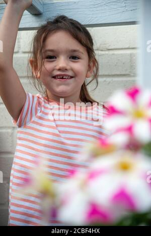 une jeune fille blanche de 4 ans, en t-shirt à rayures et bras au-dessus de sa tête, joue dans un jardin de fleurs pétunia à rayures roses et blanches. Lancashire, Angleterre Banque D'Images