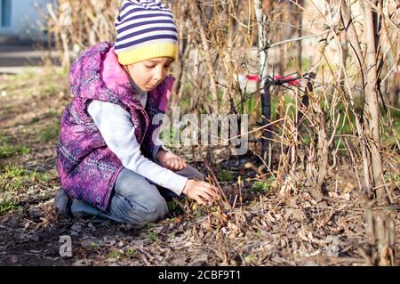 Une fille marche dans la cour au printemps. Cherchez le coléoptère, considérez-le. Plantes surprise. Banque D'Images