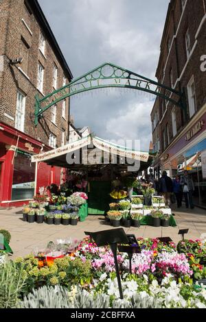 Décrochage aux fleurs au marché de Newgate (maintenant connu sous le nom de marché des shambles) dans la ville de York, Yorkshire, Angleterre. Banque D'Images