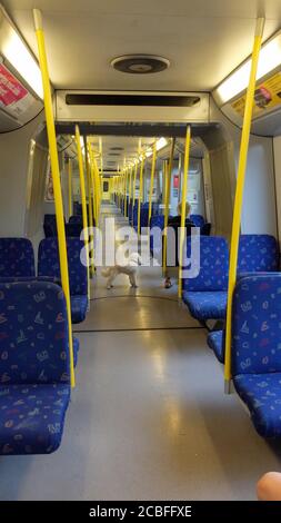 Intérieur d'un métro suédois / métro depuis les transports publics de SL Stockholm. tunnelbana Banque D'Images