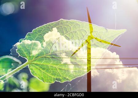 éolienne sur fond de ciel nuagé avec feuille de plante verte pour un générateur d'énergie écologique et écologique concept Banque D'Images