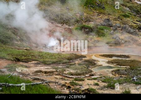 Sources d'eau chaude et geysers (y compris Blood Geyser) le long du sentier Artists Paint pots dans le parc national de Yellowstone, Wyoming Banque D'Images