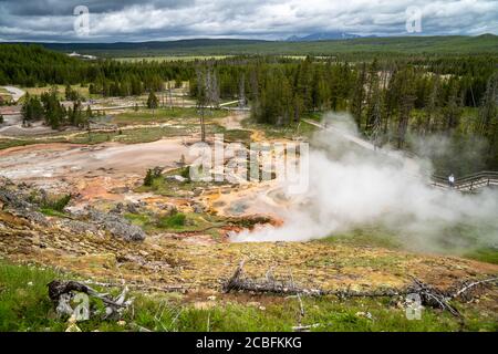 Sources d'eau chaude et geysers (y compris Blood Geyser) le long du sentier Artists Paint pots dans le parc national de Yellowstone, Wyoming Banque D'Images