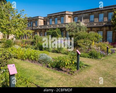 The Medicinal plants Collection, University of Oxford Botanical Gardens, Oxford, Oxfordshire, Angleterre, Royaume-Uni, GB. Banque D'Images